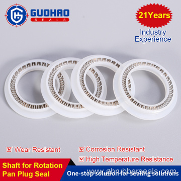 Rotary Enhanced Universal Plug Spring Accumulator Seal